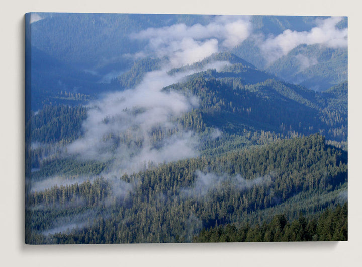 Low Clouds and Blue River Ridge, HJ Andrews Forest, Oregon