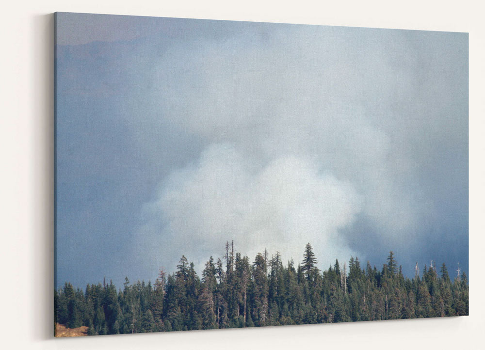 Wildfire Smoke Column, Willamette National Forest, Oregon