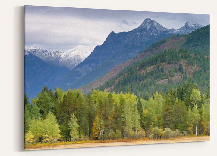 Cabinet Mountains Wilderness, Montana