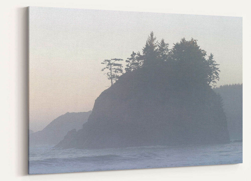 Pewetole Island at coastal fog at sunrise, Trinidad, California