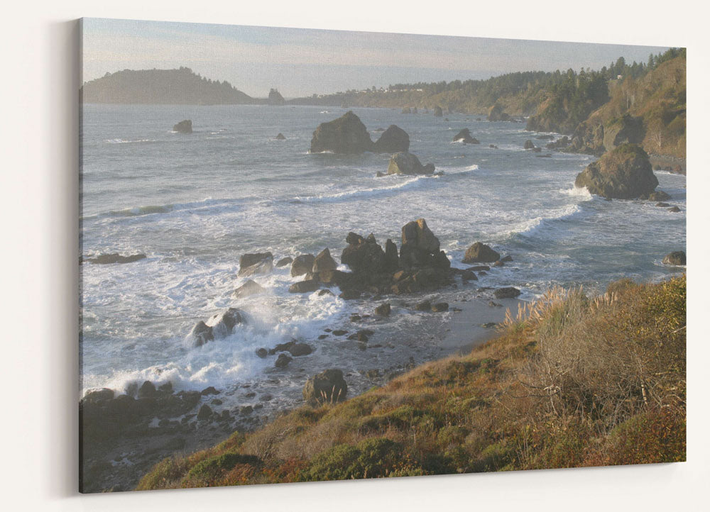 Trinidad Bay and Offshore Rocks, Northern Rocky Coast, California