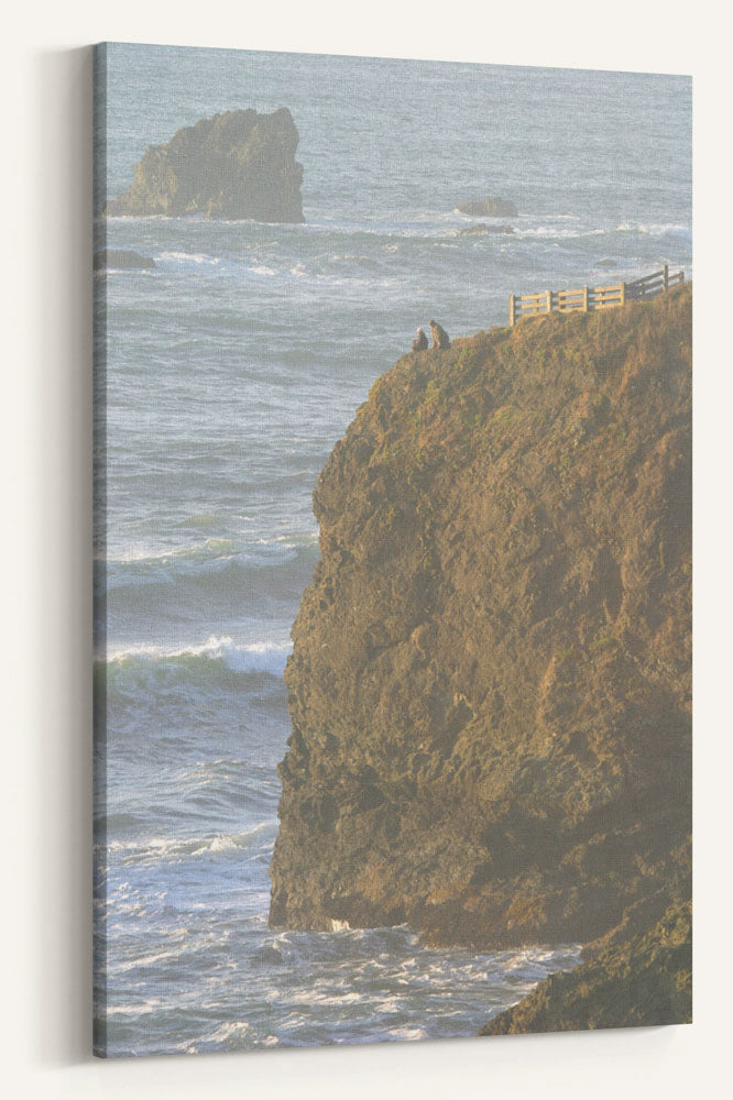 Sea Cliff and Visitors, Luffenholtz Beach, California