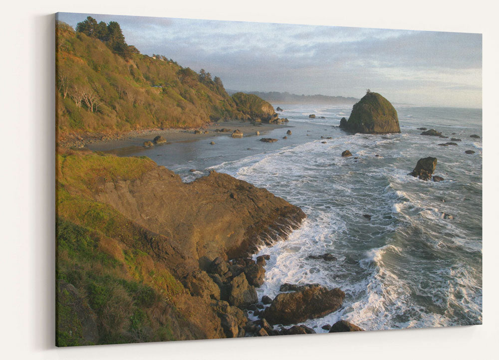 Rocky Coast and Offshore Rocks, Trinidad Bay, California