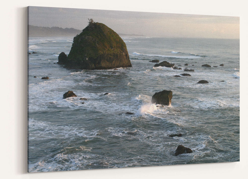 Offshore rocks, Northern CA rocky coast, Trinidad Bay, Trinidad, California