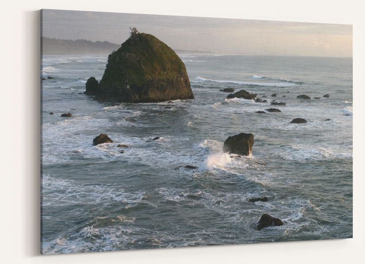 Offshore rocks, Northern CA rocky coast, Trinidad Bay, Trinidad, California