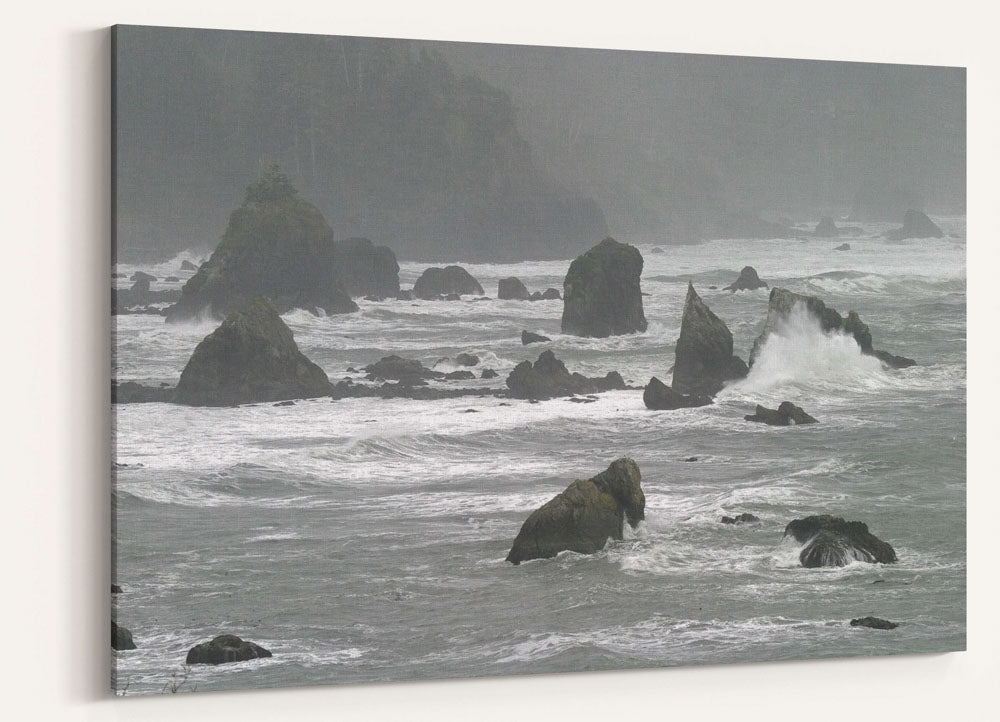 Offshore rocks, Northern CA rocky coast, Trinidad Bay, Trinidad, California