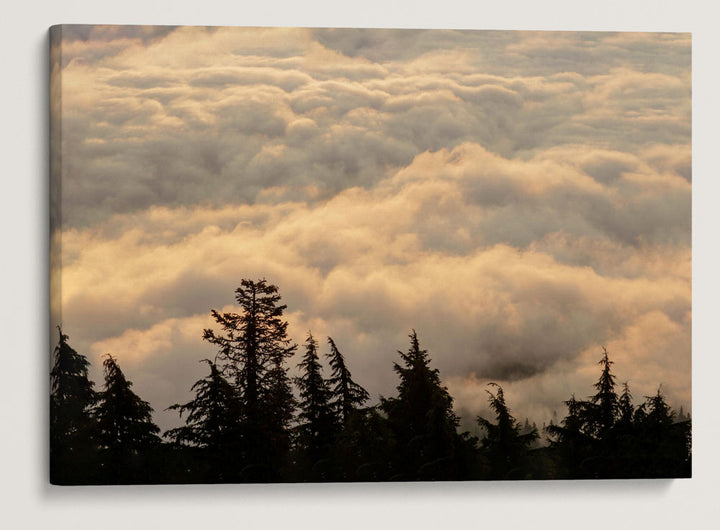 Clouds Over Cascades Mountains, Willamette National Forest, Oregon, USA