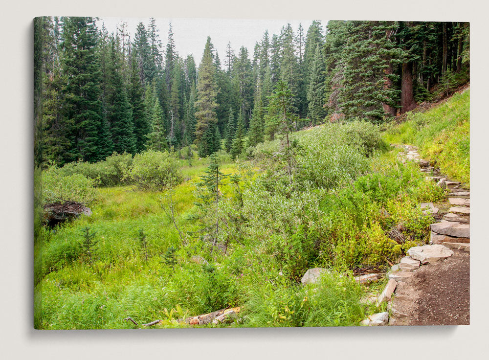 Castle Crest Wildflower Garden, Crater Lake National Park, Oregon, USA