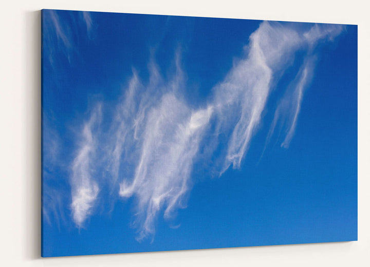 Cirrus clouds and blue skies, Willamette National Forest, Oregon