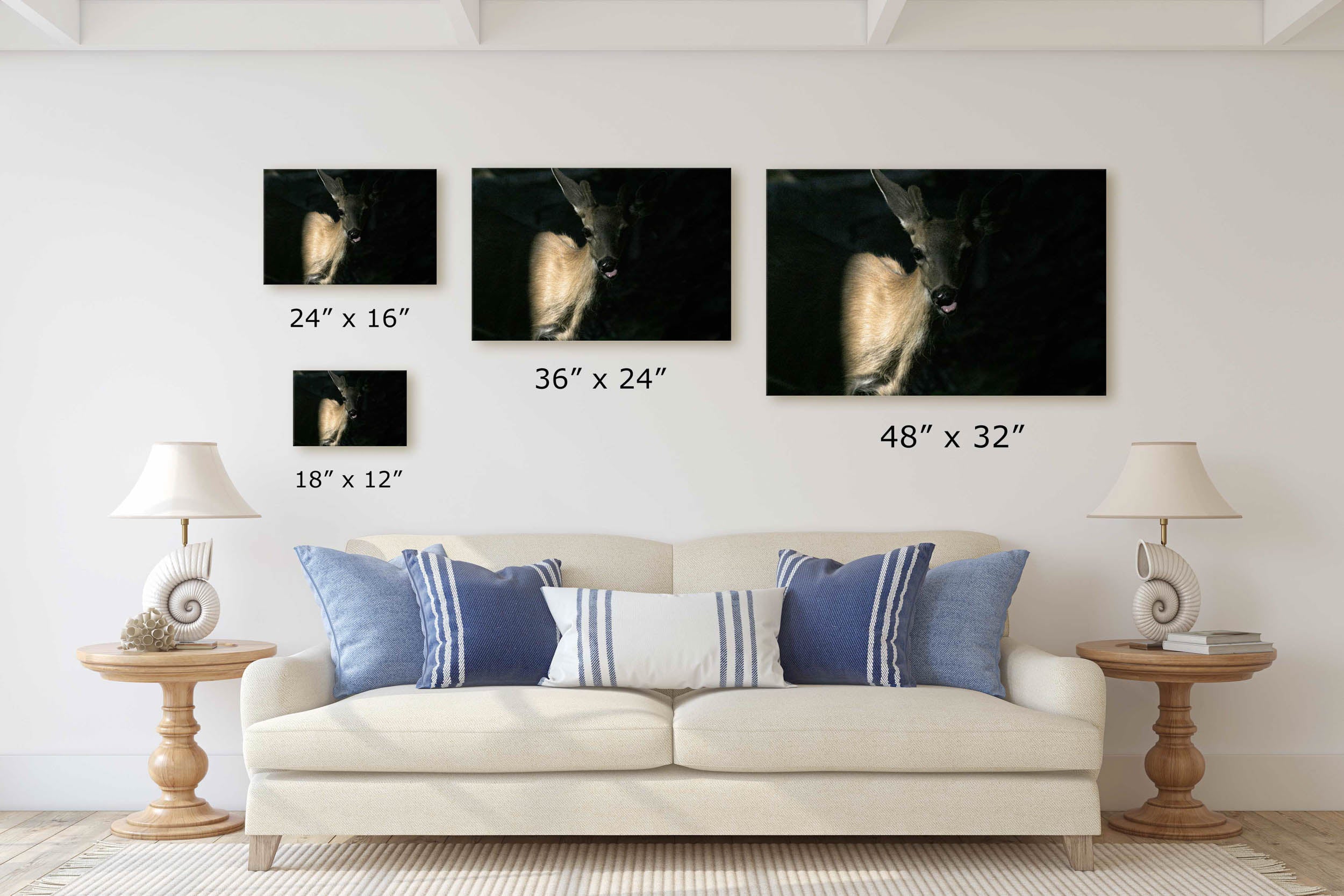 Crater Lake Wildlife Canvas Print Collection - Rob Mutch Ecosystem