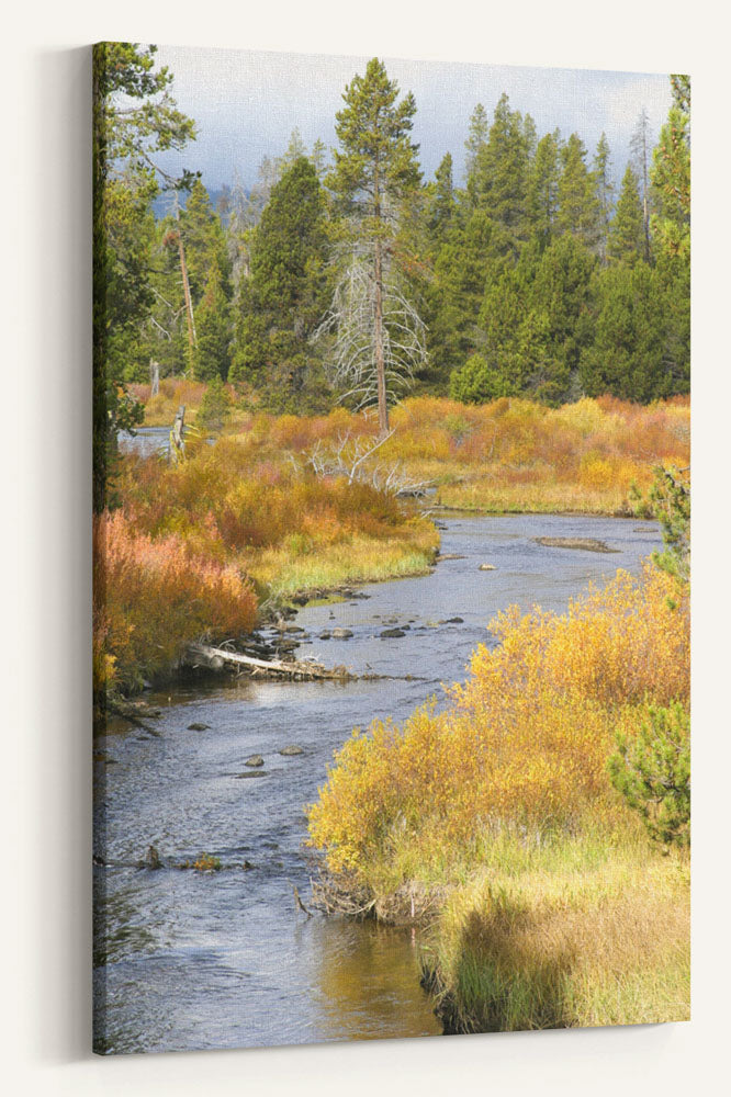 Crescent Creek Fall Colors, Deschutes National Forest, Oregon