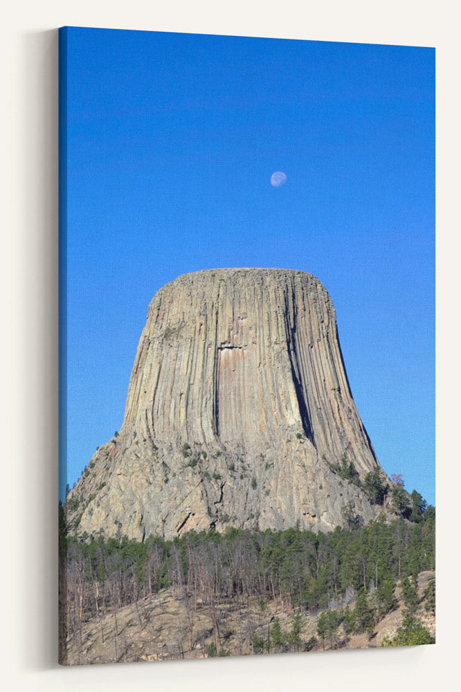 Devils Tower and Moonrise, Devils Tower National Monument, Wyoming