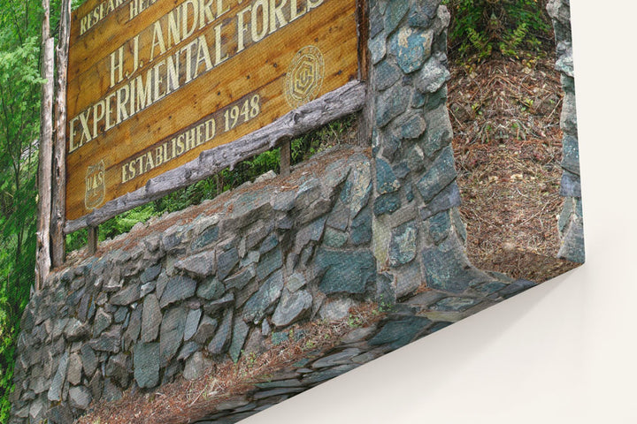 Entrance Sign, H.J. Andrews Experimental Forest, Oregon, USA