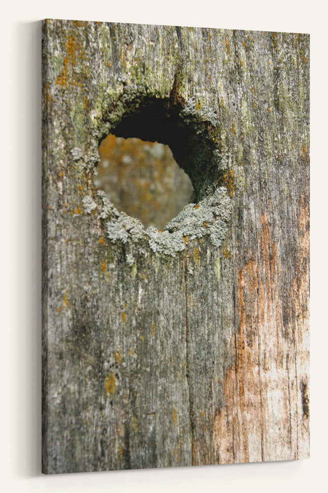 Birdhouse on fence, rural farm, Wisconsin