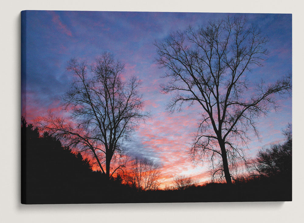 Tree Silhouettes At Sunset, Governor Dodge State Park, Wisconsin