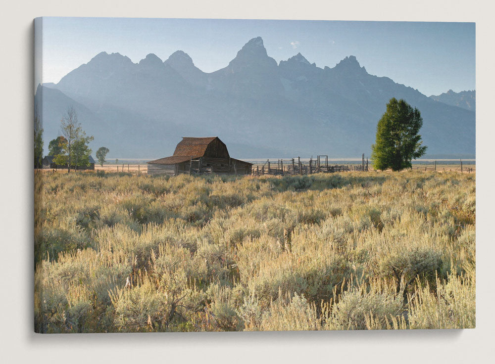 Historic Moulton Barn and Teton Mountains, Mormon Row, Grand Teton National Park, Wyoming