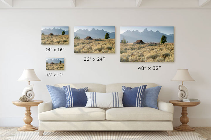 Historic Moulton Barn and Teton Mountains, Mormon Row, Grand Teton National Park, Wyoming