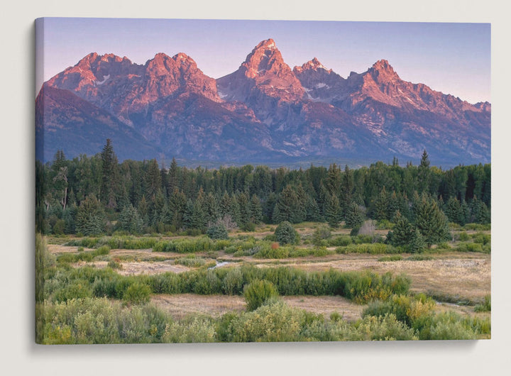 Grand Tetons and Snake River, Blacktail Ponds Overlook, Grand Teton National Park, Wyoming, USA