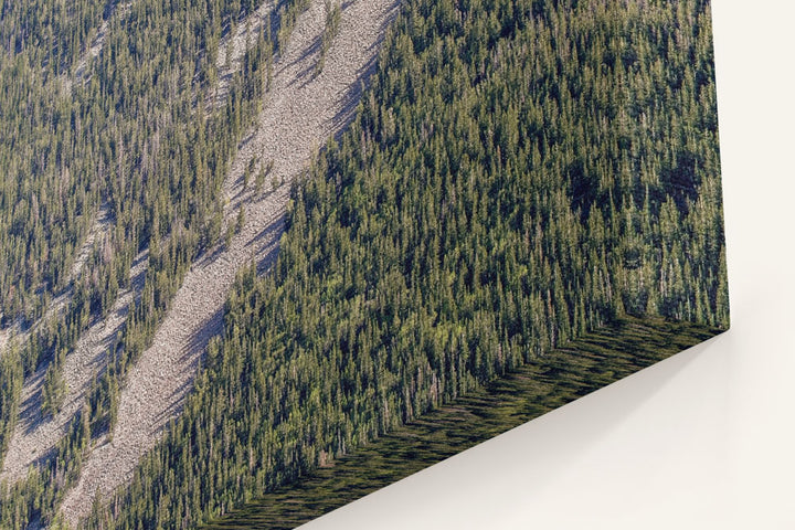 Talus Slope and Mixed Conifer Forest, Great Basin National Park, Nevada, USA