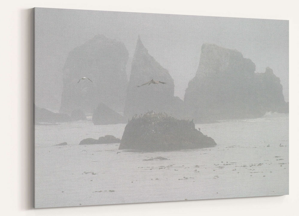 Offshore rocks, morning coastal fog, Trinidad Bay, California
