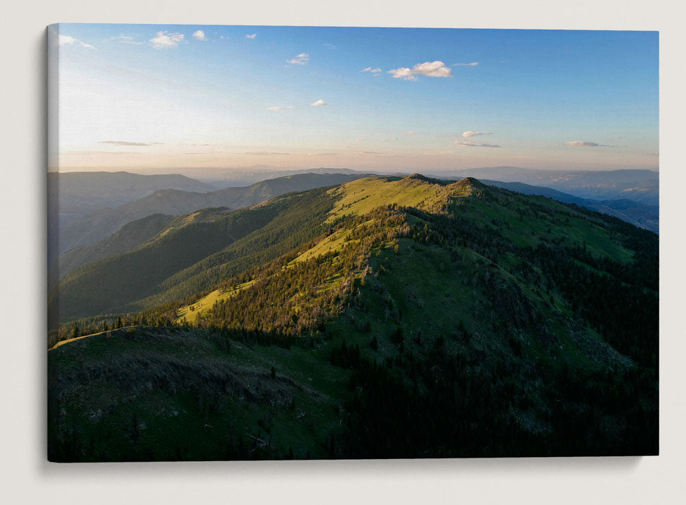 Forested Ridgeline From Heavens Gate, Hells Canyon Wilderness, Nez Perce National Forest, Idaho, USA