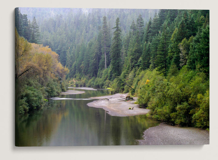 South Fork Eel River, Humboldt Redwoods State Park, California, USA