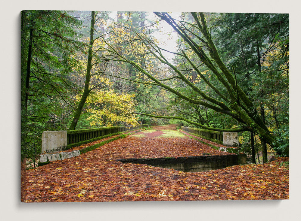 Robert H Madsen Memorial Bridge, Humboldt Redwoods State Park, California, USA