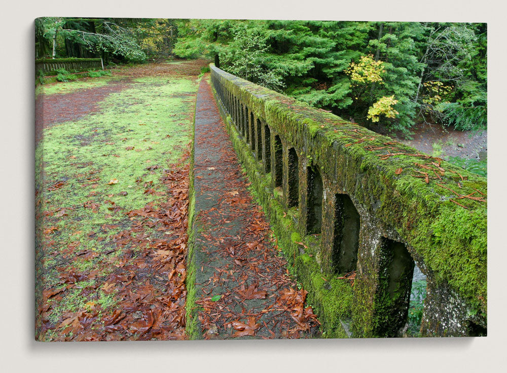 Robert H Madsen Memorial Bridge, Humboldt Redwoods State Park, California, USA