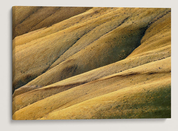 Painted Hills, John Day Fossil Beds National Monument, Oregon