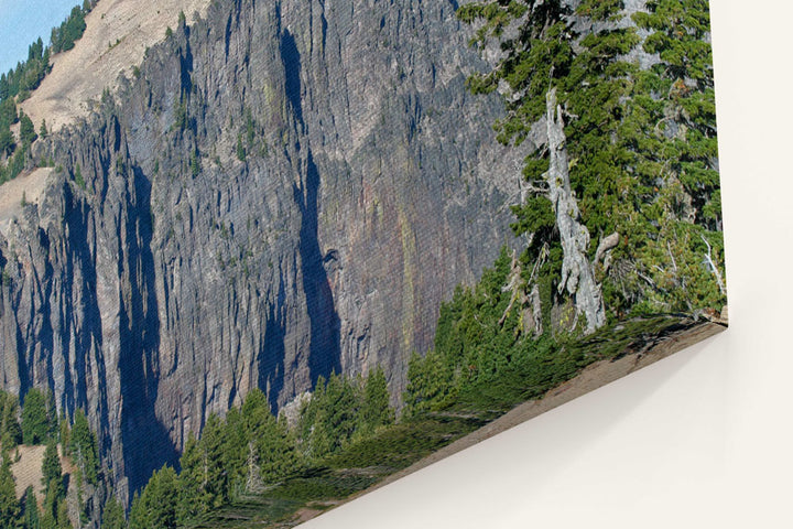 Llao Rock volcanic flow and Whitebark pine, Crater Lake National Park, Oregon