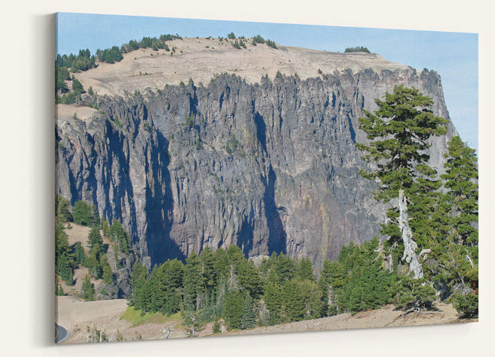 Llao Rock volcanic flow and Whitebark pine, Crater Lake National Park, Oregon