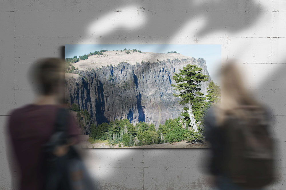 Llao Rock volcanic flow and Whitebark pine, Crater Lake National Park, Oregon