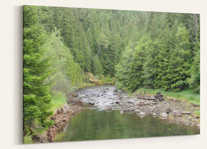 Lookout Creek and Forest, HJ Andrews Experimental Forest, Oregon