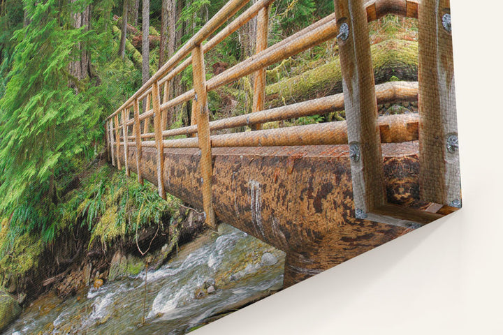 Bridge Across Lookout Creek, Lookout Creek Old-growth trail, H.J. Andrews Forest, Oregon