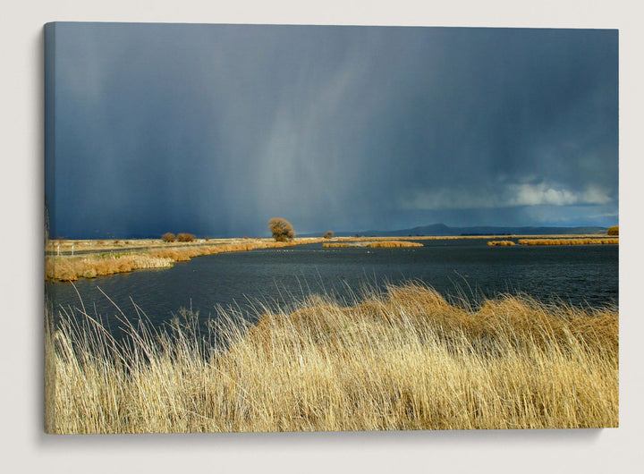 Thunderstorm Over Wetland, Lower Klamath National Wildlife Refuge, California, USA