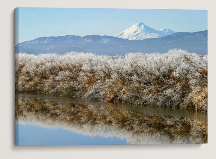 Mount Shasta From Lower Klamath National Wildlife Refuge, California