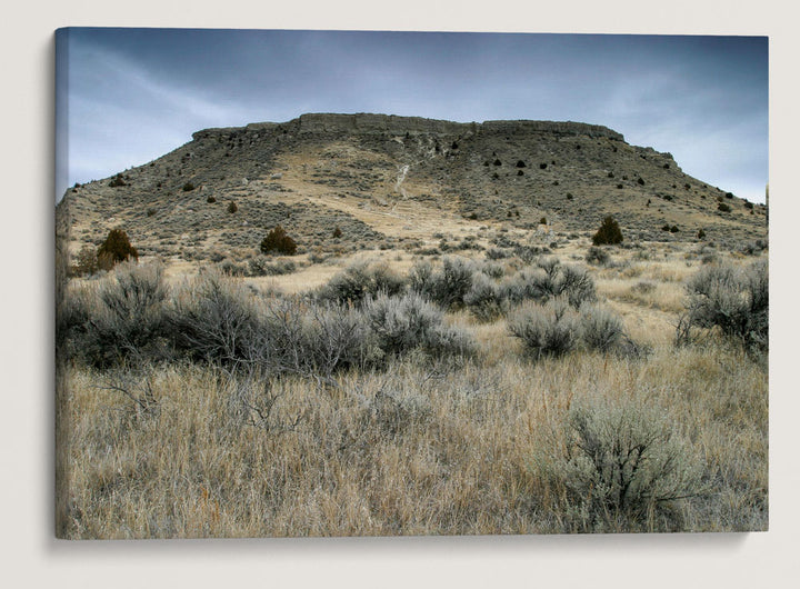 Madison Buffalo Jump State Park, Montana