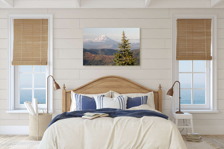 Mount Jefferson and Noble Fir, Carpenter Mountain, Oregon