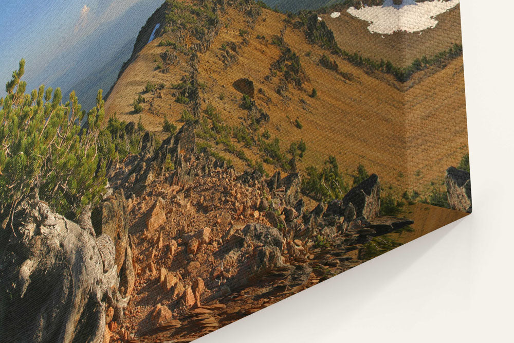 Mount Scott ridgeline and Whitebark pine, Crater Lake National Park, Oregon