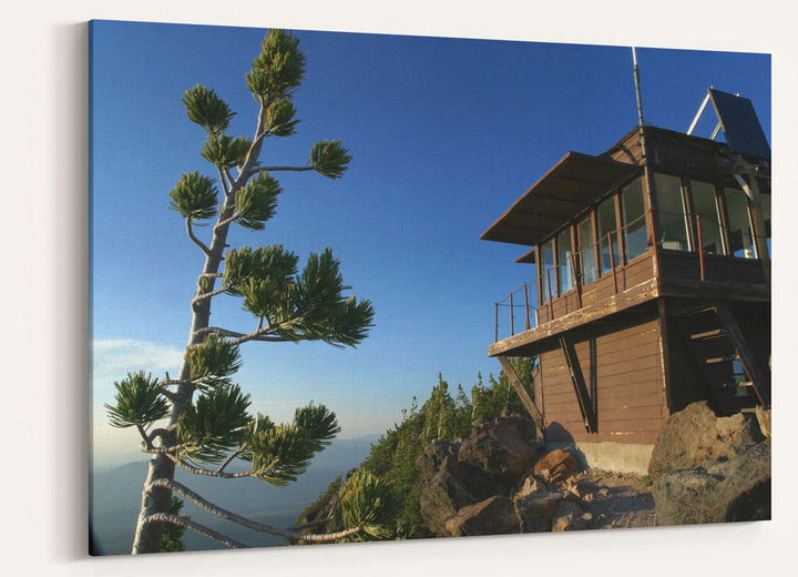 Mount Scott fire lookout and Whitebark pine, Crater Lake National Park, Oregon