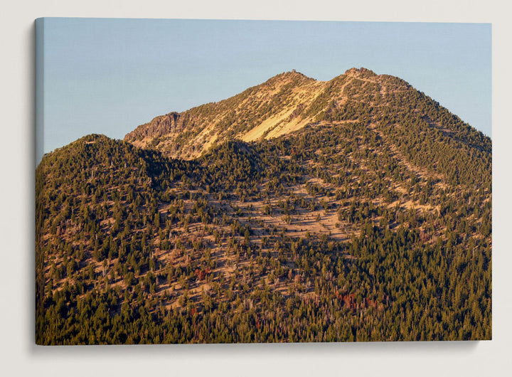 Mount Scott and Subalpine Forest, Crater Lake National Park, Oregon