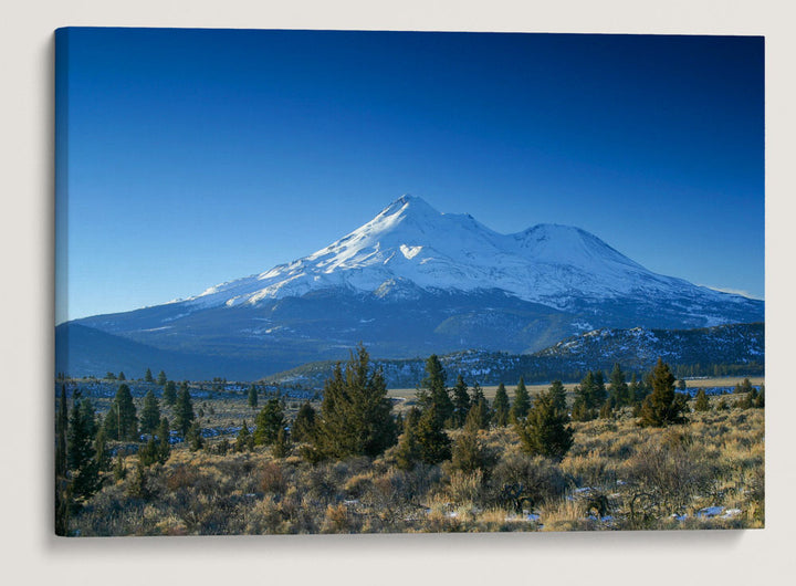 Sagebrush Shrubland and Juniper Woodland With Mount Shasta, Mount Shasta Wilderness, California, USA