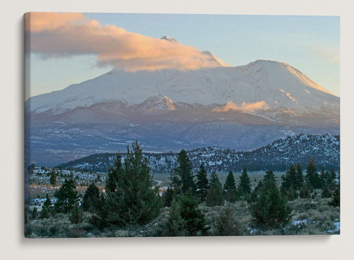 Mount Shasta and Juniper Woodland Shrubland, Mount Shasta Wilderness, California