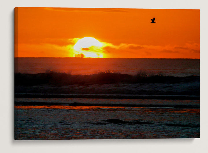 Sunset Over Pacific Ocean, Oregon Dunes National Recreation Area, Oregon, USA