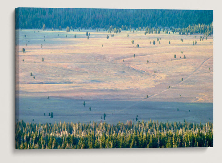 Pumice Desert, Crater Lake National Park, Oregon, USA