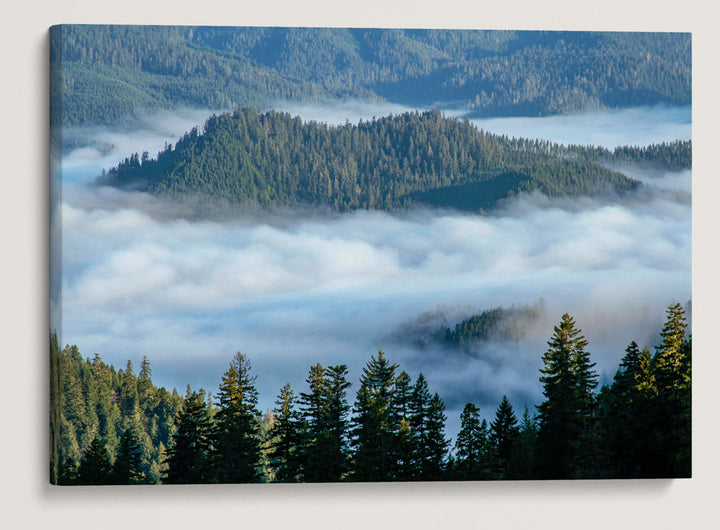 Valley and Marine Layer, Umpqua National Forest, Oregon, USA