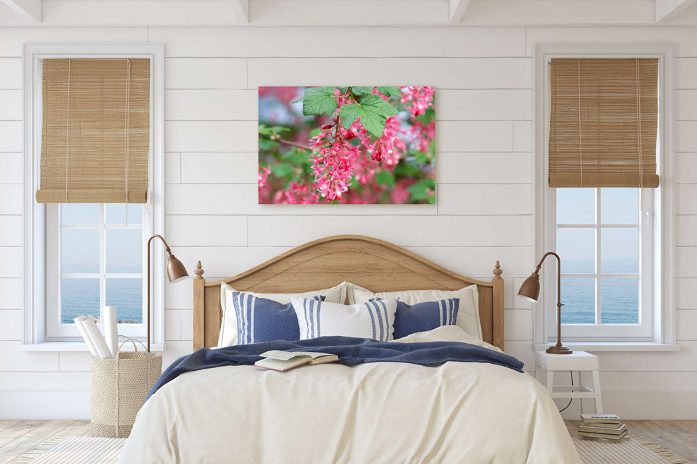 Red-flowering currant, Eugene, Oregon