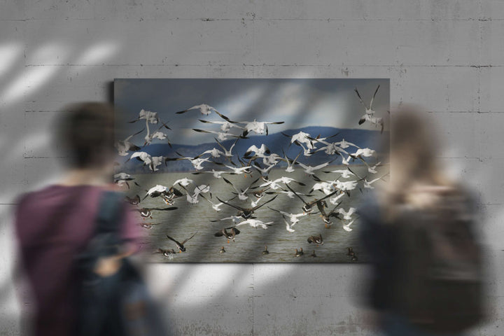 Snow Geese in Flight, Lower Klamath National Wildlife Refuge, California