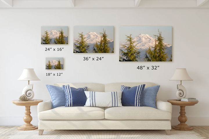 Mountain hemlocks and Mount Jefferson, Willamette National Forest, Oregon