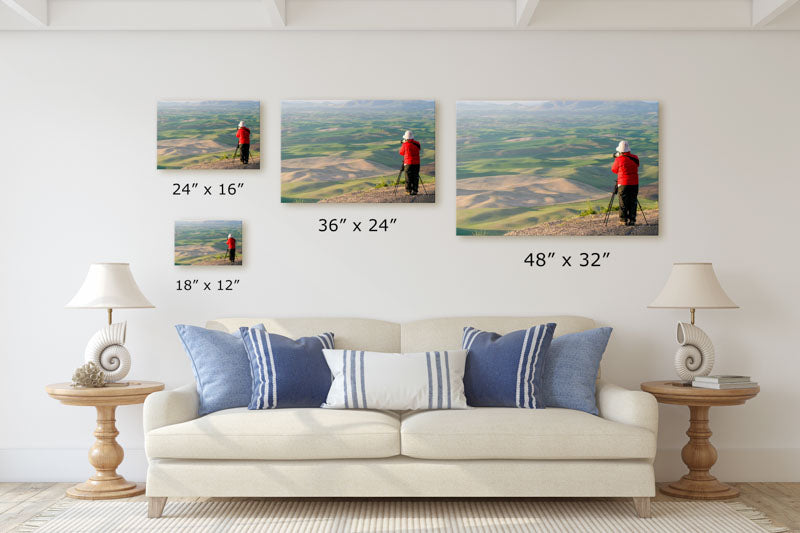 Photographer and Palouse Hills, Steptoe Butte State Park, Washington